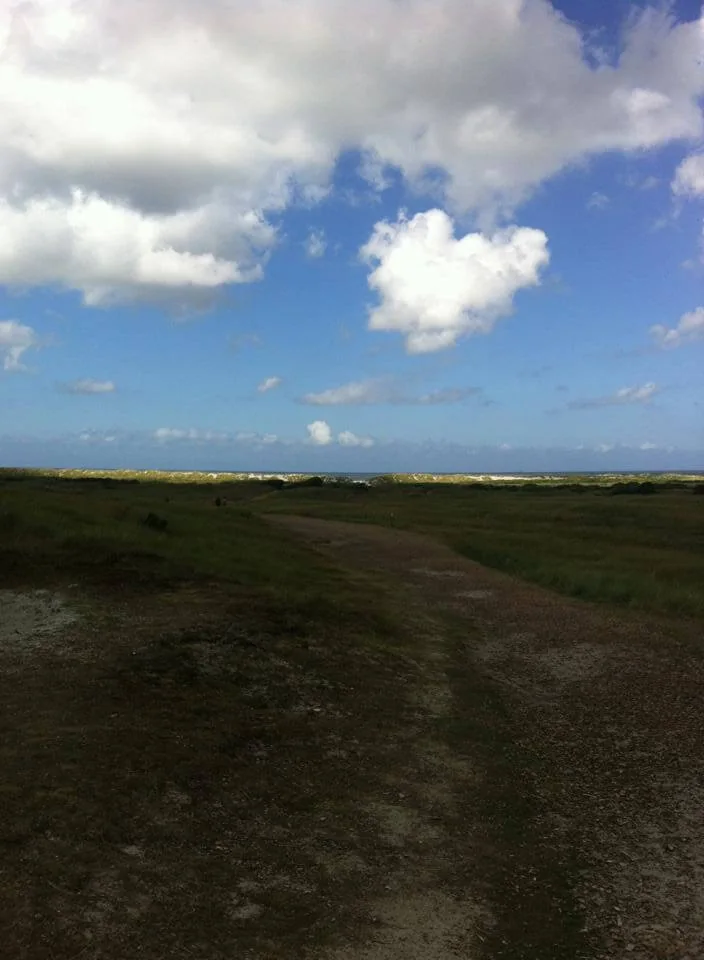 Vrij uitzicht bij vakantiehuis Braamhoek op Ameland