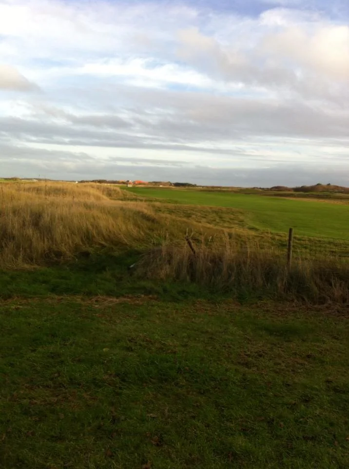 Golfbaan vlak bij vakantiehuis Braamhoek in Hollum
