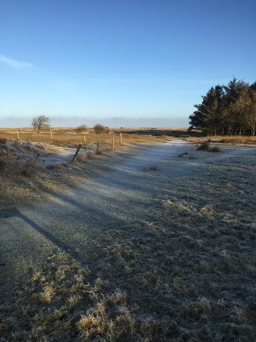 Wandelpad door het open landschap van Ameland